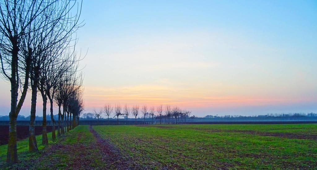 Agriturismo Paradiso Sarego المظهر الخارجي الصورة